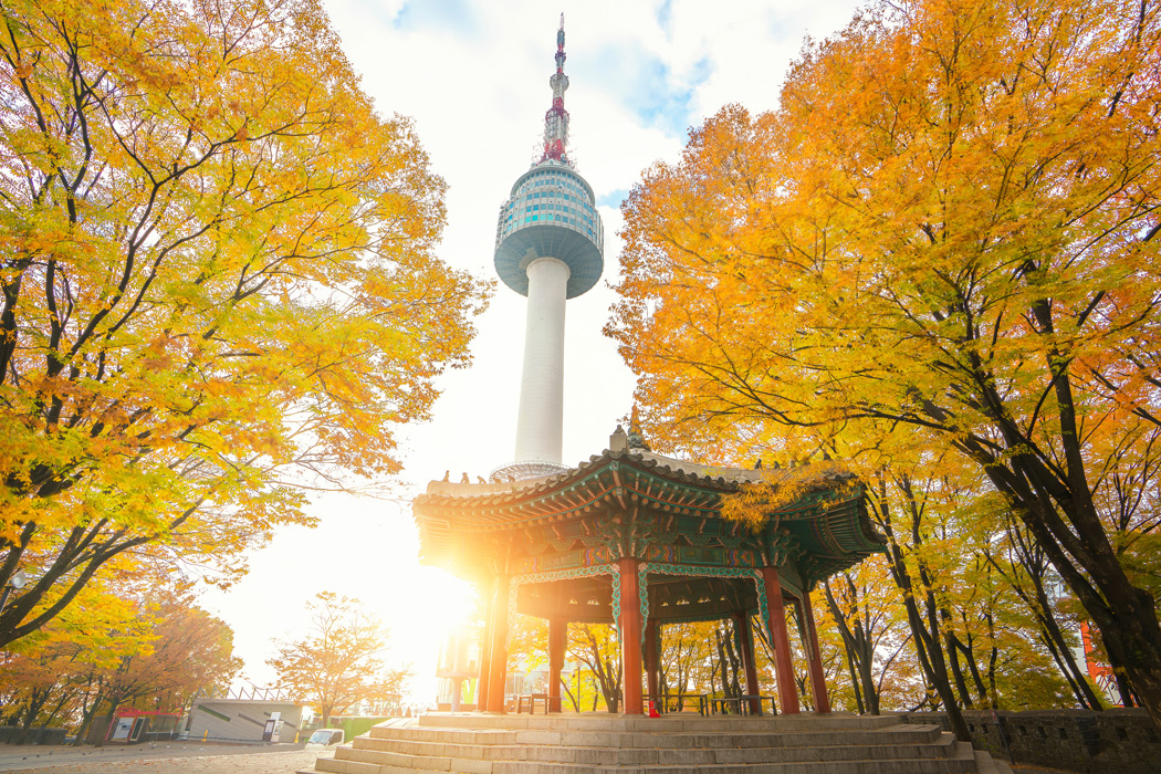 Japonya'nın Gizli Hazineleri Turu THY ile Vizesiz / 7 Gece Otel Konaklamalı / İstanbul Çıkışlı