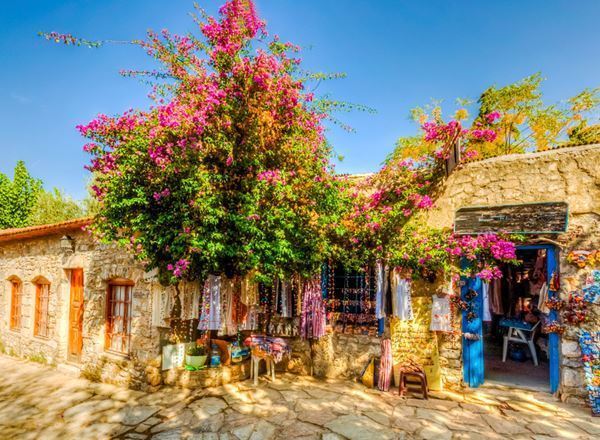 Karaburun Nergis Çiçeği Festivali Turu / 1 Gece Otel Konaklamalı / İstanbul Çıkışlı