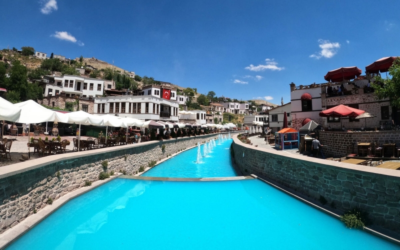 Konya Çatalhöyük Lale Bahçeleri YHT ile Gidiş-Dönüş / 1 Gece Otel Konaklamalı / İstanbul Çıkışlı