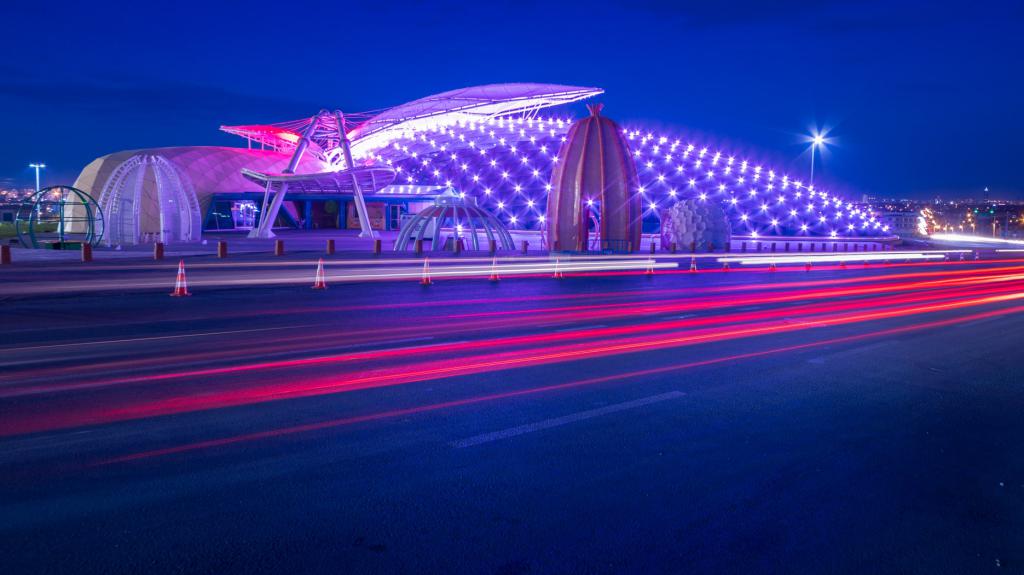 Konya Çatalhöyük Lale Bahçeleri YHT ile Gidiş-Dönüş / 1 Gece Otel Konaklamalı / İstanbul Çıkışlı