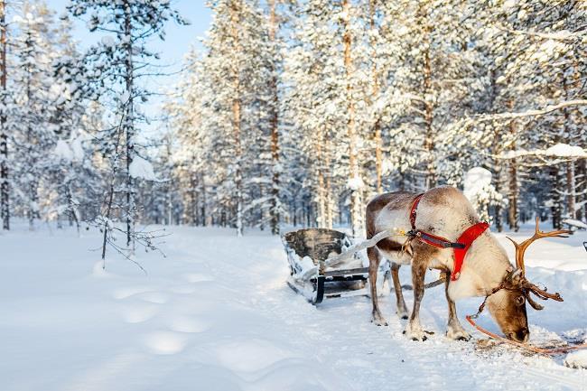 Süper Promo Lapland Beyaz Rotalar Turu THY ile / 3 Gece Otel Konaklamalı / İstanbul Çıkışlı / Rovainemi Dönüş