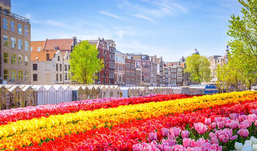 Benelüks, Paris, Köln Turu Sun Express ile / 7 Gece Otel Konaklamalı / İzmir Çıkışlı / Brüksel Gidiş