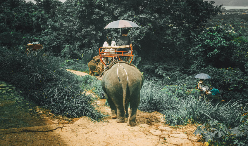 Phuket Turu THY ile Vizesiz / 4 Gece Otel Konaklamalı / İstanbul Çıkışlı