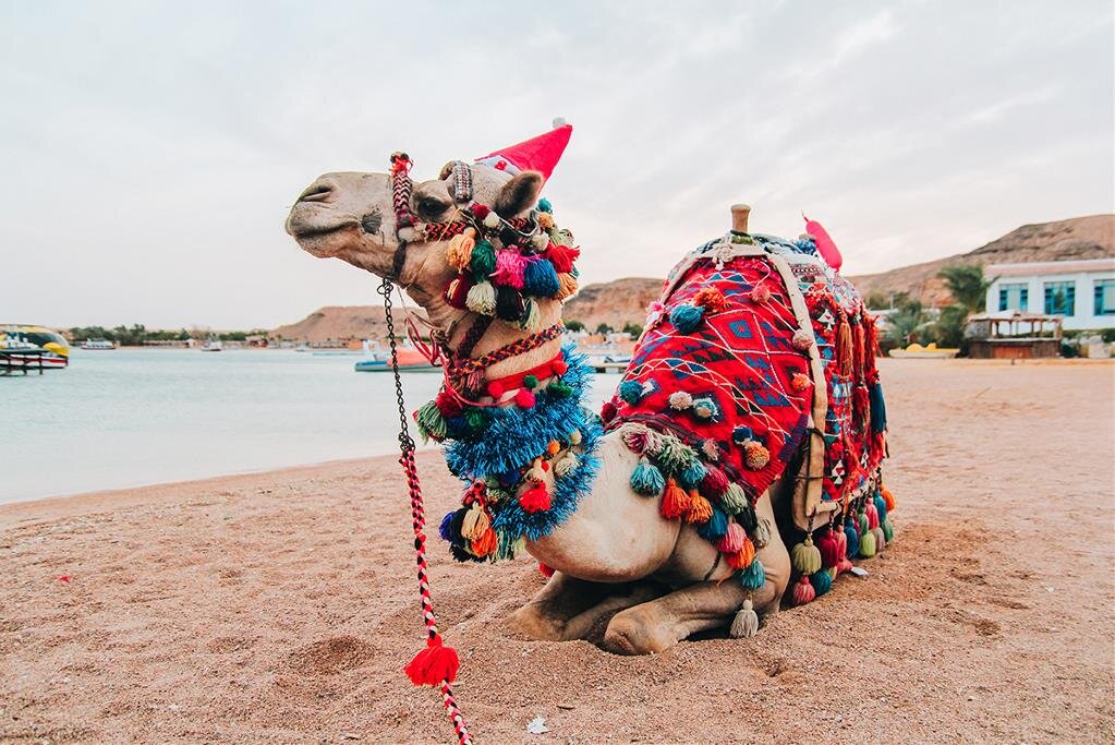 Promosyon Sharm El Sheikh Turu Tailwind Hava Yolları ile Vizesiz / 3 Gece Otel Konaklamalı / İstanbul Çıkışlı