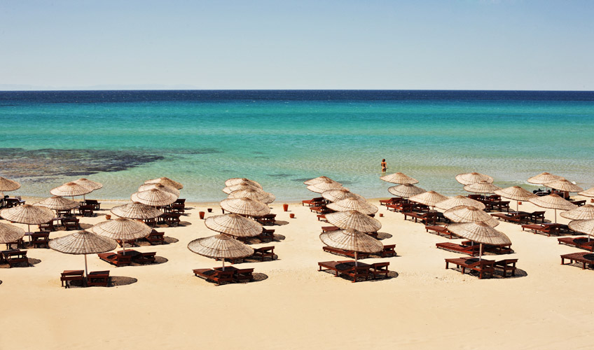 Alaçatı Ot Festivali Turu / 1 Gece Otel Konaklamalı / İstanbul Çıkışlı