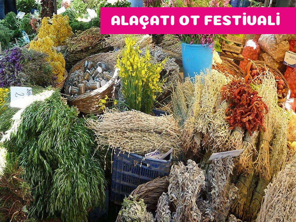 Alaçatı Ot Festivali Turu / 1 Gece Otel Konaklamalı / İstanbul Çıkışlı