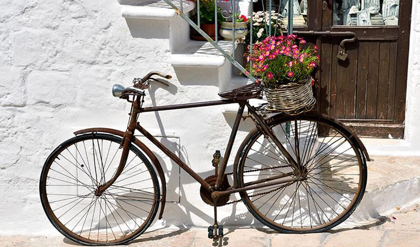 Büyük İtalya Turu THY ile / 7 Gece Otel Konaklamalı / İstanbul Çıkışlı / Ljubljana Dönüş