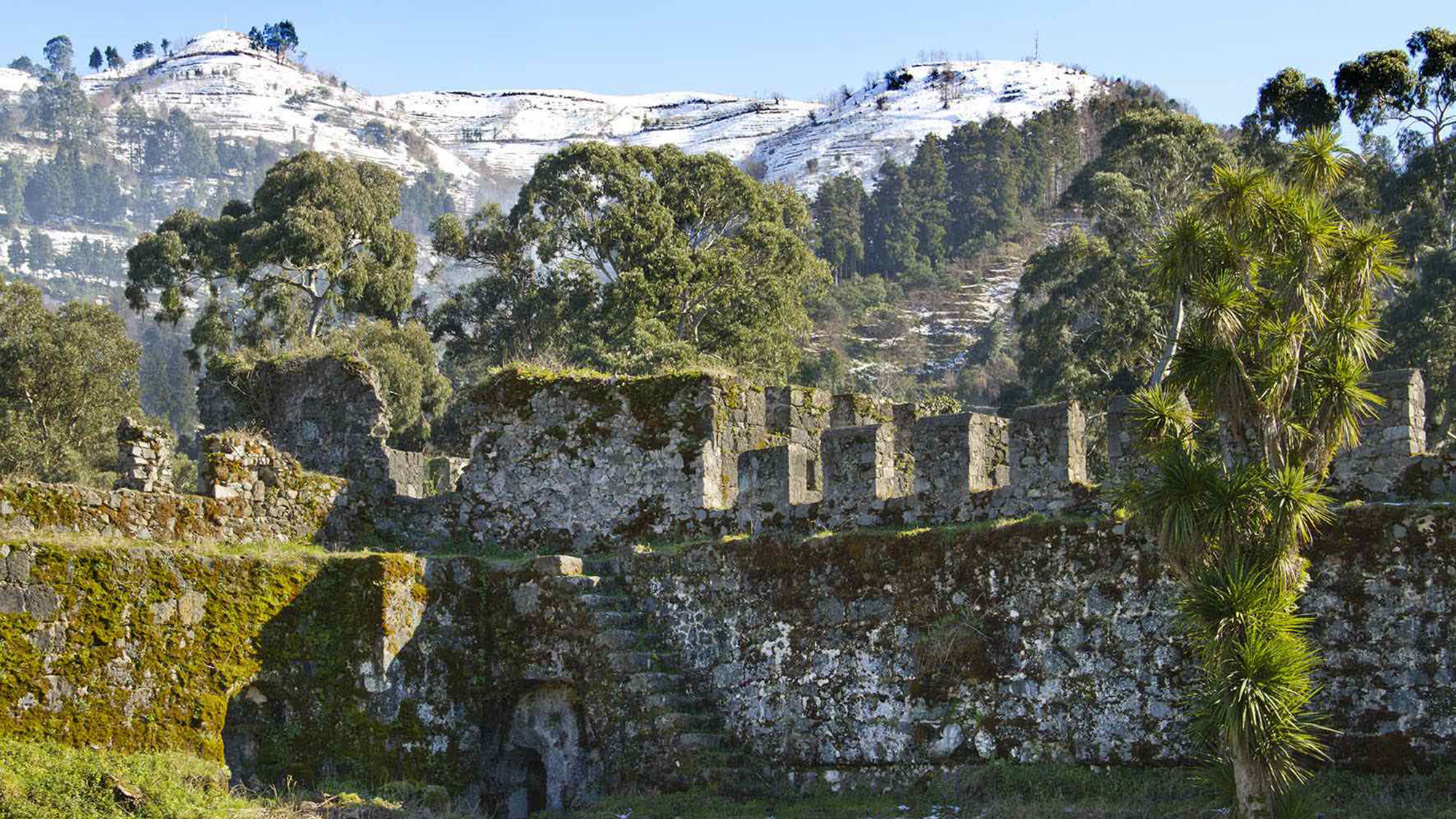 Karadeniz Yaylalar ve Batum Turu / 4 Gece Otel Konaklamalı / İstanbul Çıkışlı / Kurban Bayramı Özel