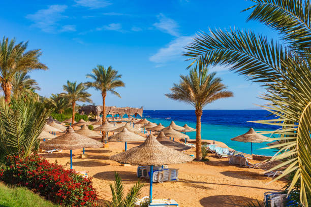 Sharm El Sheikh Turu Yaz Dönemi Tailwind Hava Yolları ile Vizesiz / 3 Gece Otel Konaklamalı / İstanbul Çıkışlı