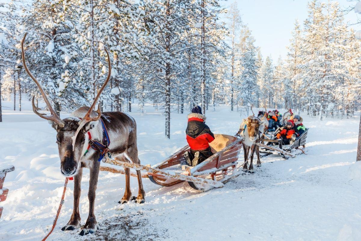 Lapland Turları